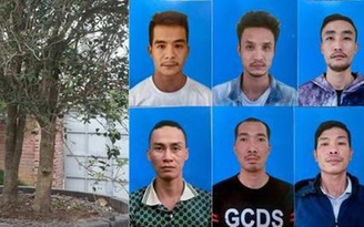 Bắt nhóm chuyên trộm cây cảnh giá trị cao ở TP.Hải Phòng