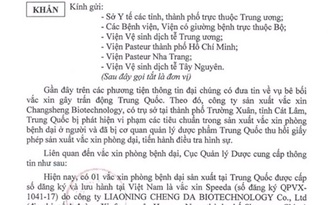 Bộ Y tế thông tin về chất lượng vắc xin dại lưu hành tại Việt Nam