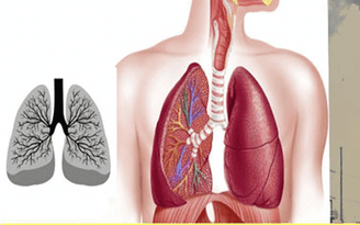43% ca tử vong do bệnh lý hô hấp liên quan đến ô nhiễm không khí
