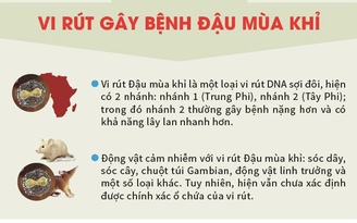 Bộ Y tế thông tin về nữ bệnh nhân mắc bệnh đậu mùa khỉ đầu tiên tại Việt Nam