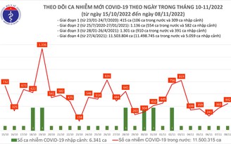 Hơn 10,6 triệu bệnh nhân Covid-19 tại Việt Nam đã khỏi bệnh
