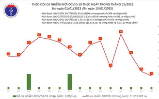 Số mắc Covid-19 mới trong nước liên tục giảm