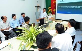 Betrimex tài trợ thử nghiệm giải pháp phòng trừ sâu đầu đen tại Bến Tre Betrimex tài trợ thử nghiệm giải pháp phòng trừ sâu đầu đen tại Bến Tre