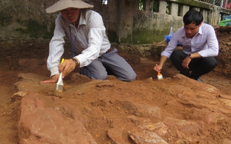 Ra mắt nhóm nghiên cứu tìm kiếm lăng mộ vua Quang Trung