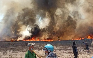 Cháy rừng phòng hộ kéo dài 4 thôn tại vùng biển Thừa Thiên - Huế