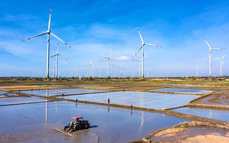 Trung Nam bán hơn 35% cổ phần nhà máy điện gió cho đối tác Nhật