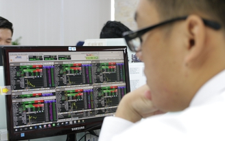 VN-Index chốt năm Mậu Tuất trong sắc đỏ