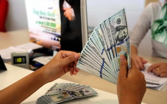 Giá USD ngày 4.8.2020: Thị trường tự do thấp hơn trong ngân hàng