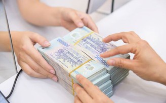 Các quỹ đầu tư mở thuộc VinaCapital 'bội thu' trên thị trường chứng khoán Việt