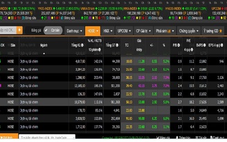 Cổ phiếu chứng khoán lại đua trần