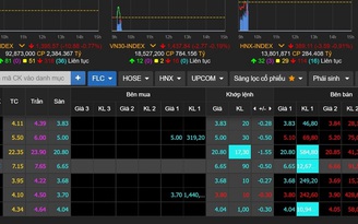 Cơn bán tháo nhóm cổ phiếu 'họ' FLC vẫn chưa kết thúc