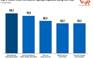 Doanh nghiệp logistics cũng đối diện khó khăn về đơn hàng