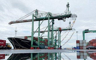 Giá cước vận chuyển container tăng vọt, Cục Hàng hải yêu cầu minh bạch