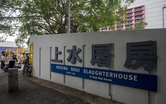 Tử vong khi vật lộn với lợn tại lò mổ ở Hồng Kông