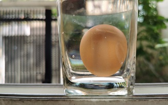 Cách nhanh nhất để biết trứng tốt, trứng hỏng