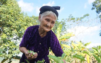 Cụ bà 84 tuổi xin thoát nghèo ở Thanh Hóa được khen thưởng thi đua yêu nước