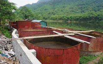 Thủy sản chết hàng loạt trên sông Mã: Liên tục phát hiện ống ngầm xả thải bẩn