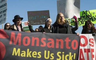 Thuốc diệt cỏ của Monsanto bị phản đối vì nguy cơ gây ung thư
