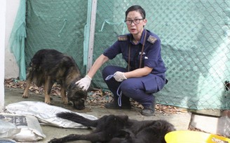 Bỏ đói 14 con chó, đầu bếp Hồng Kông nhận 1 năm tù