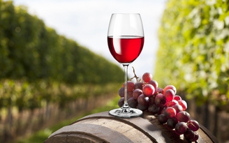 Úc dọa kiện Trung Quốc ra WTO vì quyết định ‘bất công’ với rượu vang Úc