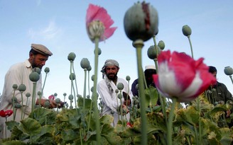 Taliban đã kiếm tiền như thế nào để phục vụ cuộc chiến ở Afghanistan?