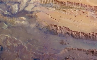 Tỉ phú Elon Musk đề xuất con người lên sao Hỏa sống để tránh họa diệt vong