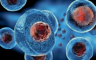 Trung Quốc tìm ra cách lập trình lại tế bào gốc để tạo sự sống