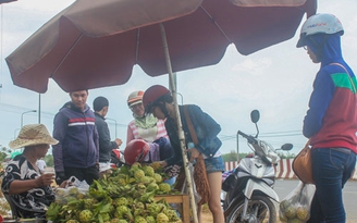 Mãng cầu Bà Đen Tây Ninh hút khách