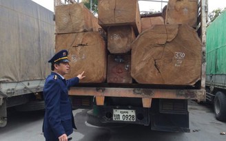 Tạm giữ 11 xe tải chở gỗ từ Lào về Việt Nam