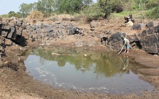 Đắk Lắk thiệt hại do khô hạn ước gần 630 tỉ đồng