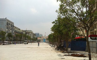 TP.HCM thay mới cây xanh trên đường Nguyễn Huệ