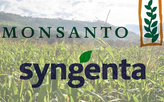 Syngenta nói không với đề nghị 45 tỉ USD của Monsanto