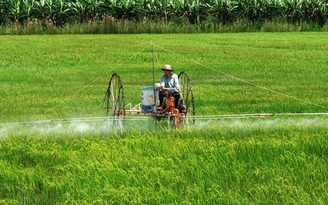 Ngân hàng Thế giới tài trợ 315 triệu USD cho nông nghiệp và giáo dục