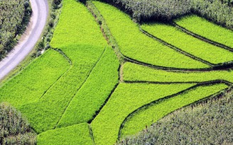 Cung đường 'săn ảnh' Đông - Tây Bắc độc đáo