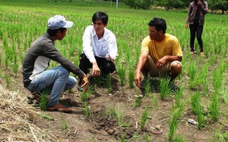 Sét đánh nhóm phụ nữ, một người chết, 3 người bị thương