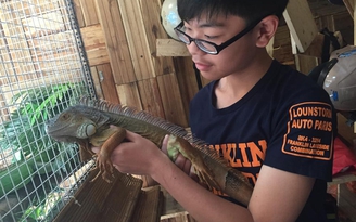 Quán cà phê của bò sát