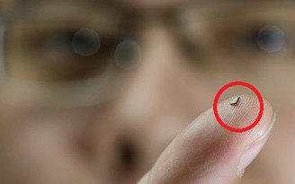 Cảm biến nhiệt nhỏ nhất thế giới