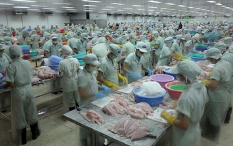 Doanh nghiệp cá tra Việt lại bị ép