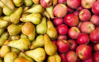 4 loại trái cây ăn nhiều cũng không bị tăng cân