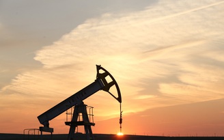 Giá dầu, chứng khoán cùng tăng
