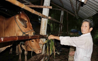 Bí quyết làm giàu: Biến đất hoang thành vàng