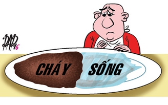 Tôi thật sai lầm