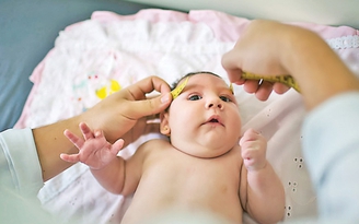 Vi rút Zika muỗi truyền – mối đe dọa cho cộng đồng
