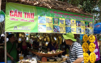 Tôn vinh và khám phá những loại bánh dân gian mê hoặc