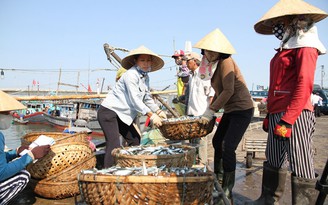 Khai thác hải sản thiệt hại nặng vì Formosa