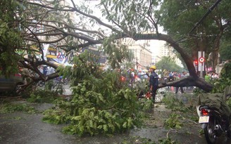 Cưa cây thuê, cây ngã đè chết người