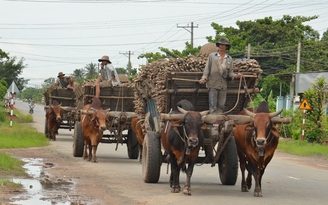 Nhớ Bàu Năng qua tô cháo chay bình dị