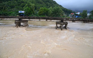 Nam bộ lũ về chậm, đề phòng sâu bệnh gia tăng