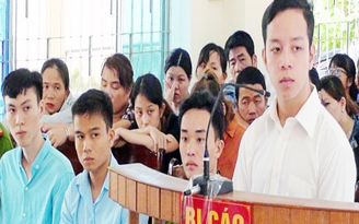 Hiểm họa từ 'cỏ Mỹ'