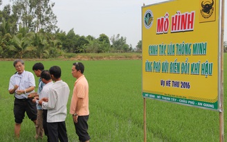 VTV ra mắt chương trình 'CANH TÁC THÔNG MINH'